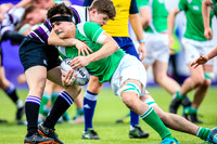 Gonzaga v Terenure (Match) SCT19