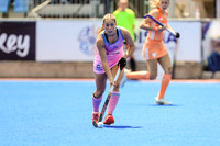 Austraila v Netherlands