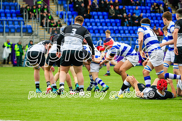 11-03-19_MB_9446