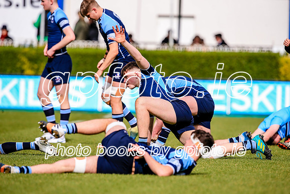 17-3-2019 SWYL4906.JPG.JPG