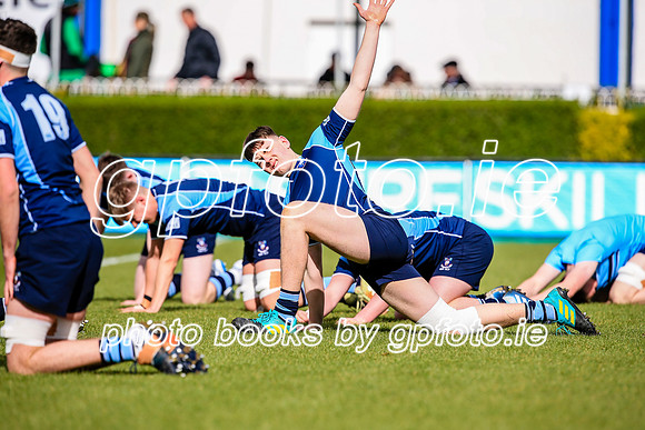 17-3-2019 SWYL4905.JPG.JPG