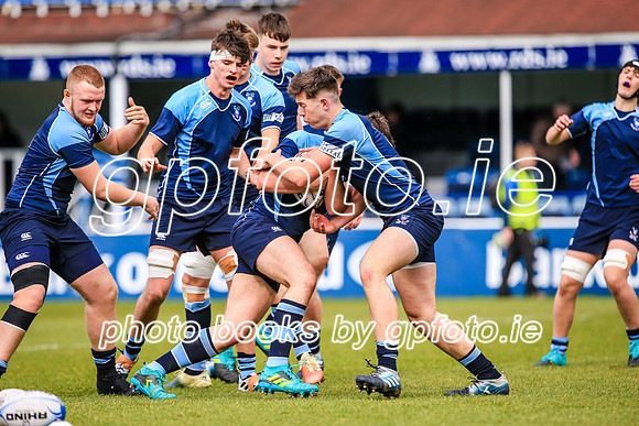 17-3-2019 SWYL4933.JPG.JPG