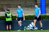 17-3-2019 CGJ25375.JPG.JPG