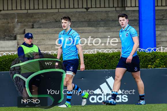 17-3-2019 CGJ25375.JPG.JPG