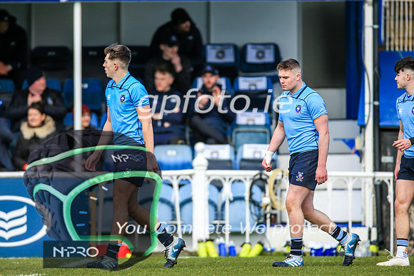 17-3-2019 CGJ25377.JPG.JPG