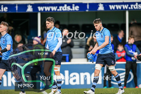 17-3-2019 CGJ25381.JPG.JPG