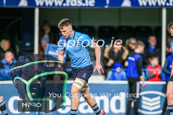 17-3-2019 CGJ25387.JPG.JPG