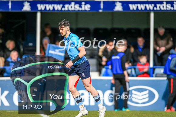 17-3-2019 CGJ25388.JPG.JPG