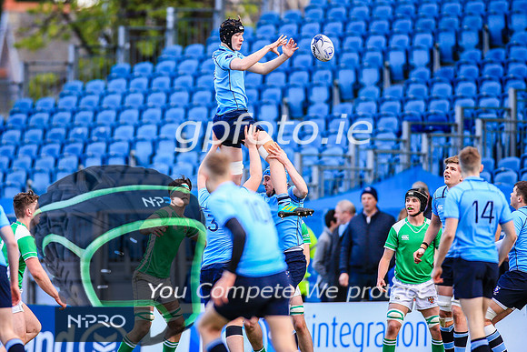 17-3-2019 CGJ25453.JPG.JPG