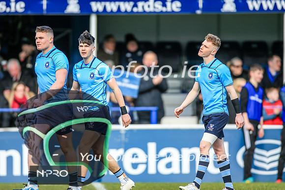17-3-2019 CGJ25379.JPG.JPG