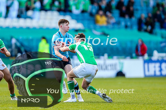 17-3-2019 IMGL9853.JPG.JPG