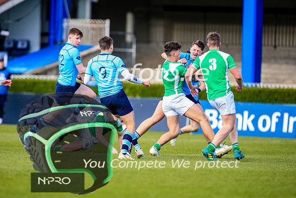17-3-2019 SWYL5056.JPG.JPG
