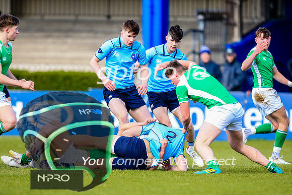 17-3-2019 SWYL5071.JPG.JPG