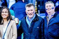 17-3-2019 _MB_9781.JPG.JPG