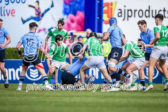 17-3-2019 CGJ25420.JPG.JPG