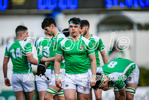 17-3-2019 CGJ25396.JPG.JPG