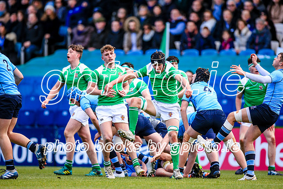 17-3-2019 CGJ25517.JPG.JPG