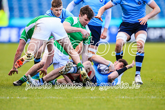 17-3-2019 SWYL5038.JPG.JPG