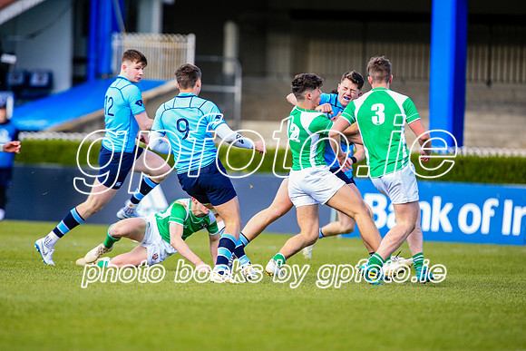 17-3-2019 SWYL5056.JPG.JPG