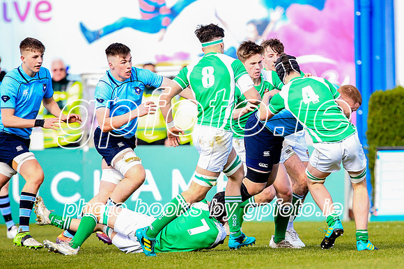 17-3-2019 SWYL5072.JPG.JPG