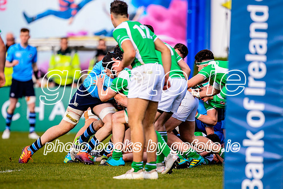 17-3-2019 SWYL5080.JPG.JPG