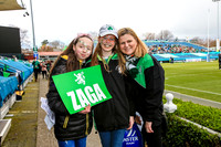 17-3-2019 CGJ25309.JPG.JPG