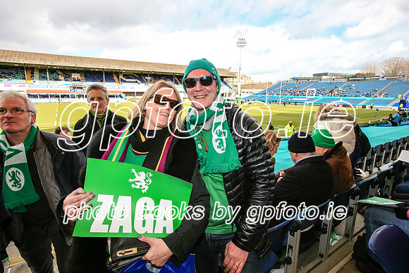 17-3-2019 CGJ25307.JPG.JPG
