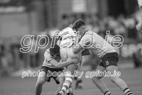 20-3-2019CGJ27924.JPG