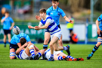 20-3-2019CGJ27842.JPG