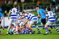 20-3-2019CGJ27853.JPG