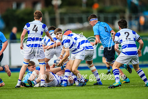 20-3-2019CGJ27853.JPG