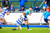 20-3-2019CGJ27771.JPG