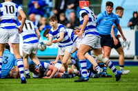20-3-2019CGJ27836.JPG