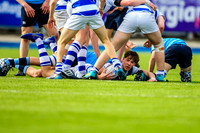20-3-2019CGJ28065.JPG