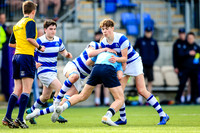 20-3-2019CGJ28497.JPG