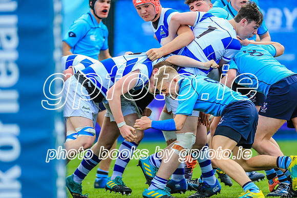 20-3-2019IMGL0784.JPG