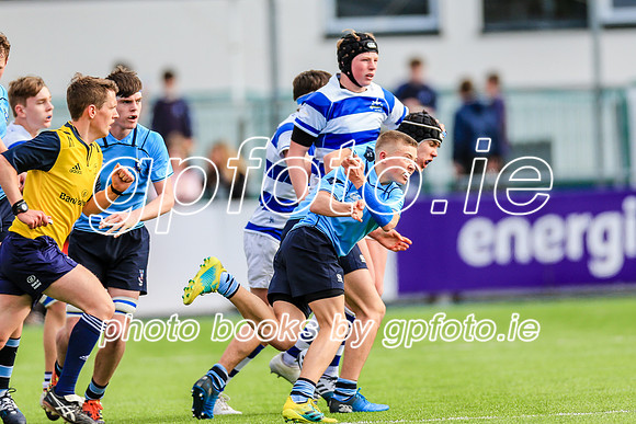 20-3-2019IMGL0811.JPG