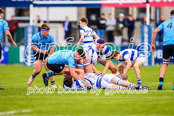 20-3-2019SWYL7633.JPG