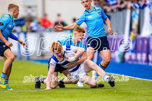 20-3-2019SWYL7630.JPG