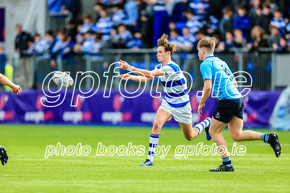 20-3-2019IMGL0843.JPG
