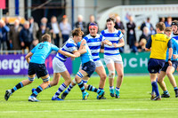 20-3-2019IMGL0861.JPG