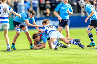 20-3-2019IMGL0982.JPG