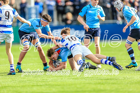 20-3-2019IMGL0982.JPG