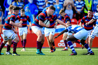 27-3-2019CGJ24419.JPG