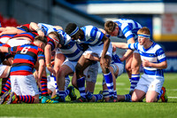 27-3-2019CGJ24355.JPG