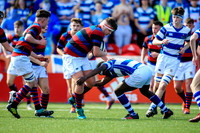 27-3-2019CGJ24422.JPG