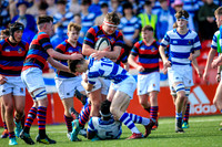 27-3-2019CGJ24425.JPG