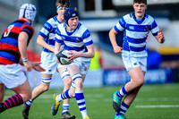 27-3-2019CGJ24056.JPG