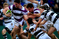 Belvedere v CWC