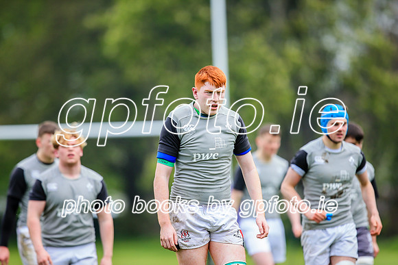 31-03-2019-CGJ25637.JPG